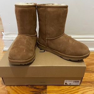 Classic II Uggs